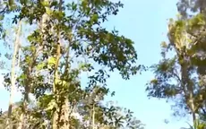 Khánh Hòa tăng cường lực lượng bảo vệ rừng tại các điểm nóng trong dịp Tết