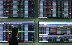 VN-Index giảm kỷ lục rồi bật tăng dựng đứng: Ai tham lam, ai sợ hãi?