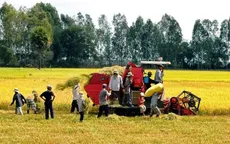 Việt Nam nêu quan điểm về giá lúa gạo