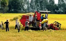 Nông nghiệp là lợi thế quốc gia
