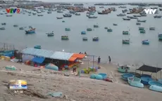 Cảnh báo tình trạng bán hải sản gian lận ở làng chài Mũi Né, Phan Thiết.