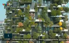 Vườn thẳng đứng-xu hướng xây dựng xanh.