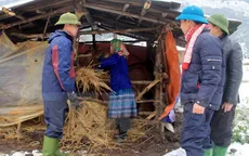 Vùng núi phía Bắc ứng phó với giá rét