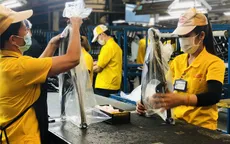 Xây dựng cơ sở dữ liệu: Nền tảng cho lộ trình phục hồi