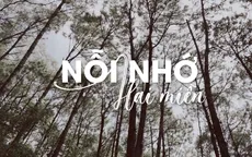 Chuyện tình yêu cảm động trong ca khúc về những bác sỹ tuyến đầu