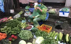 Giá rau xanh tăng mạnh, người mua sững sờ