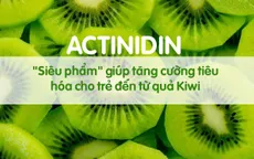 Actinidin - "Siêu phẩm" giúp tăng cường tiêu hóa cho trẻ đến từ quả Kiwi