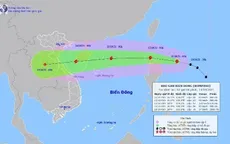 Bão số 8 di chuyển rất nhanh, có thể đạt cấp 11
