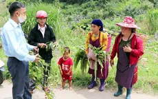 Tăng cường công tác phòng chống ngộ độc do độc tố tự nhiên