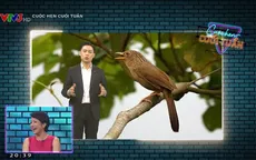 Bản tin thời tiết đặc biệt cùng Diva Mỹ Linh