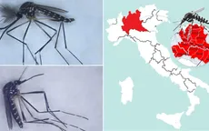 Muỗi ngoại lai từ Đông Á có thể là vật trung gian truyền bệnh và virus tại Italy
