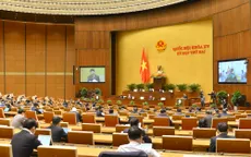 Ngày 29/10, Quốc hội thảo luận về dự án Luật Kinh doanh bảo hiểm (sửa đổi)