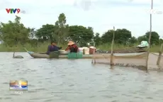 Mưu sinh mùa lũ thấp