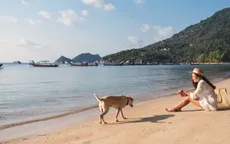 Đảo Jeju - điểm đến nổi tiếng nhất để du lịch cùng thú cưng ở Hàn Quốc