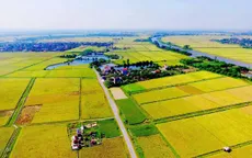 Hạn chế việc sử dụng đất lúa để xây dựng các khu công nghiệp