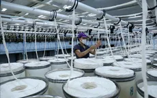 Hoa Kỳ ban hành kết luận cuối cùng về chống bán phá giá với sợi PTY của Việt Nam