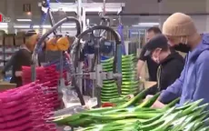 Pháp bắt buộc DN phải bổ nhiệm nhân viên chuyên trách phòng dịch