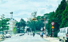 Đà Lạt đã có cột đèn xanh, đèn đỏ đầu tiên