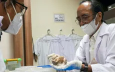 Hài cốt phụ nữ Indonesia cổ đại định hình lại sự phát triển của loài người sơ khai