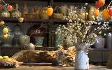 Vì sao hoa bạch đàn bỗng thành ‘hot trend’ khiến nhiều chị em mê mẩn?