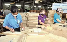 Ngành gỗ có thể cán đích mục tiêu xuất khẩu 14,5 tỷ USD