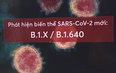 Biến thể mới của SARS-CoV-2 chứa đột biến lạ