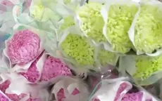 Kích cầu thị trường từ những giống hoa mới