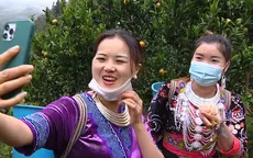 Bà con dân tộc tỉnh Lào Cai bán 5 - 8 tạ quýt trong buổi livestream