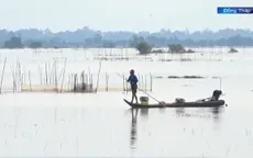 Niềm vui mùa nước nổi