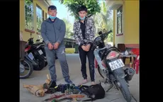 Chưa xóa án tích đã tiếp tục "hành nghề" trộm chó