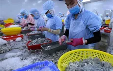 Việt Nam khẳng định vị thế sau 15 năm gia nhập WTO