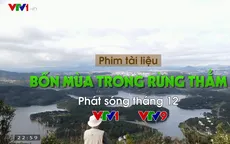 PTL Bốn mùa trong rừng thẳm: Chuyện ông lão 80 tuổi yêu rừng bằng cả trái tim