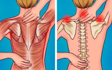 Không thay đệm định kỳ nguy hại đến sức khỏe như thế nào?