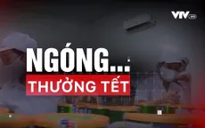 Thưởng Tết: Tết nghĩa là hi vọng?