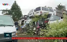 Khánh Hòa phát hiện nhiều vụ vận chuyển gỗ lậu