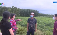 Giao nhận khoán đất trồng rừng sai quy định