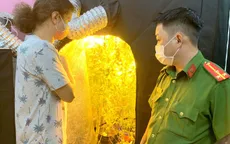 Người nước ngoài thuê nhà để trồng cần sa trong phòng ngủ