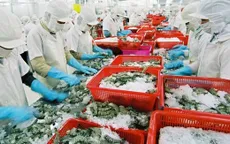 Thêm 23 doanh nghiệp thủy sản được xuất khẩu vào Trung Quốc