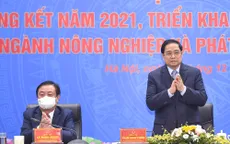 Ngành nông nghiệp cần mang lại giá trị gia tăng cao hơn nữa