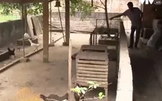 Trợ giúp kinh tế với người bị lao phổi