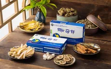 Mộc Tỳ Vị - TP BVSK trong hỗ trợ giảm triệu chứng về dạ dày