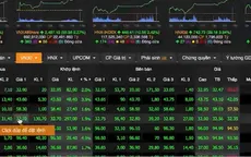 Nhịp hồi mạnh mẽ của VN-Index