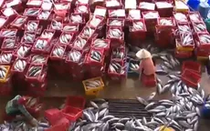 Khánh Hòa: Chuyến biển xuyên Tết giúp ngư dân vượt qua khó khăn
