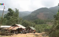 Tết của người dân vùng sạt lở ở vùng núi tỉnh Quảng Ngãi