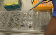 Khí ozone có khả năng khử khuẩn bề mặt có virus SARS-CoV-2