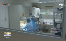 Tết Tân Sửu - Tết đầm ấm nghĩa tình và an toàn dịch bệnh tại TPHCM