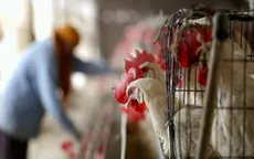 Nga lần đầu tiên phát hiện virus H5N8 ở người