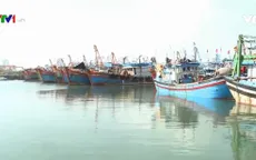 Ngư dân Đà Nẵng ra khơi