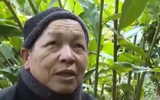 Đảng viên dân tộc H'Mông đi đầu trong phát triển kinh tế