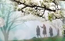 Quyến rũ mùa hoa lê ở vùng cao Tuyên Quang